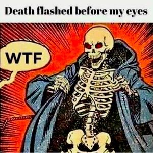 Meet your Posher, Dylan